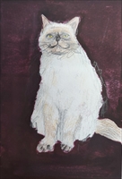 �z�b�R����3